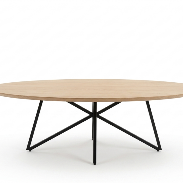 Eettafel Fly elips