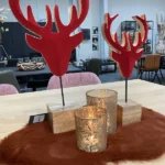 Rendier in mangohout